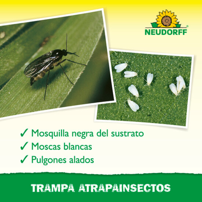 TRAMPAS ATRAPAINSECTOS Neudorff - Pack de 10 - Imagen 3