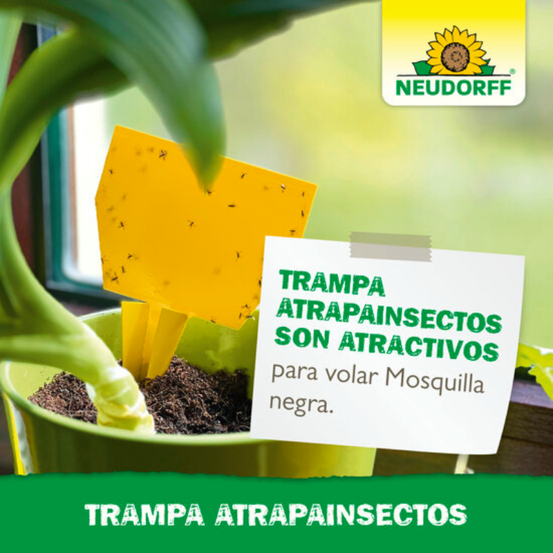TRAMPAS ATRAPAINSECTOS Neudorff - Pack de 10 - Imagen 4