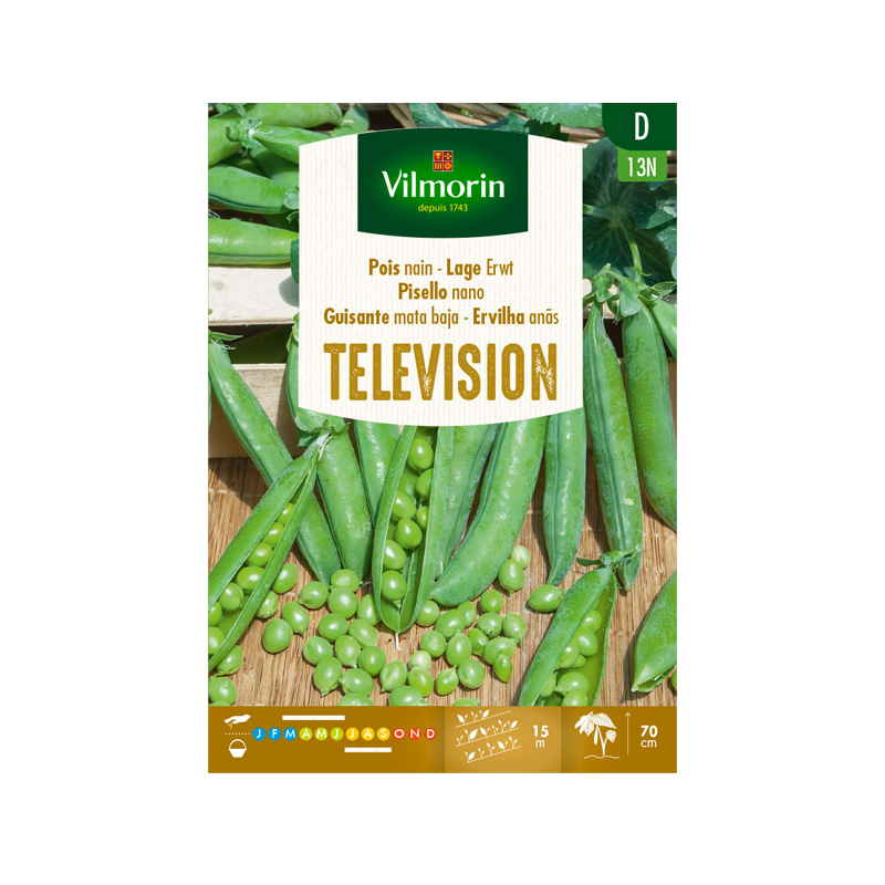 Guisante Television