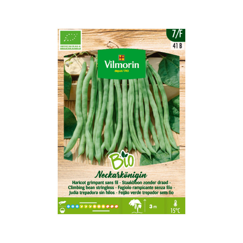 SEMILLAS BIO JUDÍA Trepadora Neckarkönigin Vilmorin - Caja 83 g