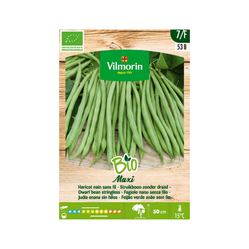 SEMILLAS BIO JUDÍA Enana Maxi Vilmorin - Caja 100 g
