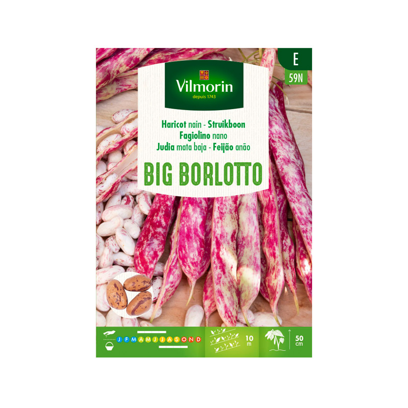 Judía Mata Baja Big Borlotto