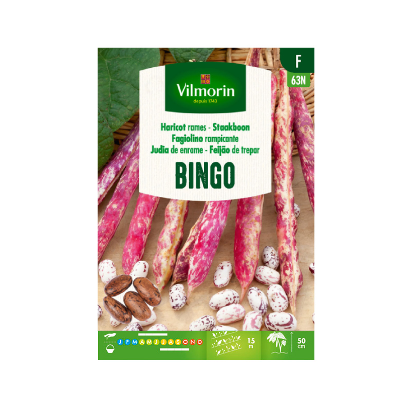 Judía de enrame BINGO Vilmorin - Caja 150 g