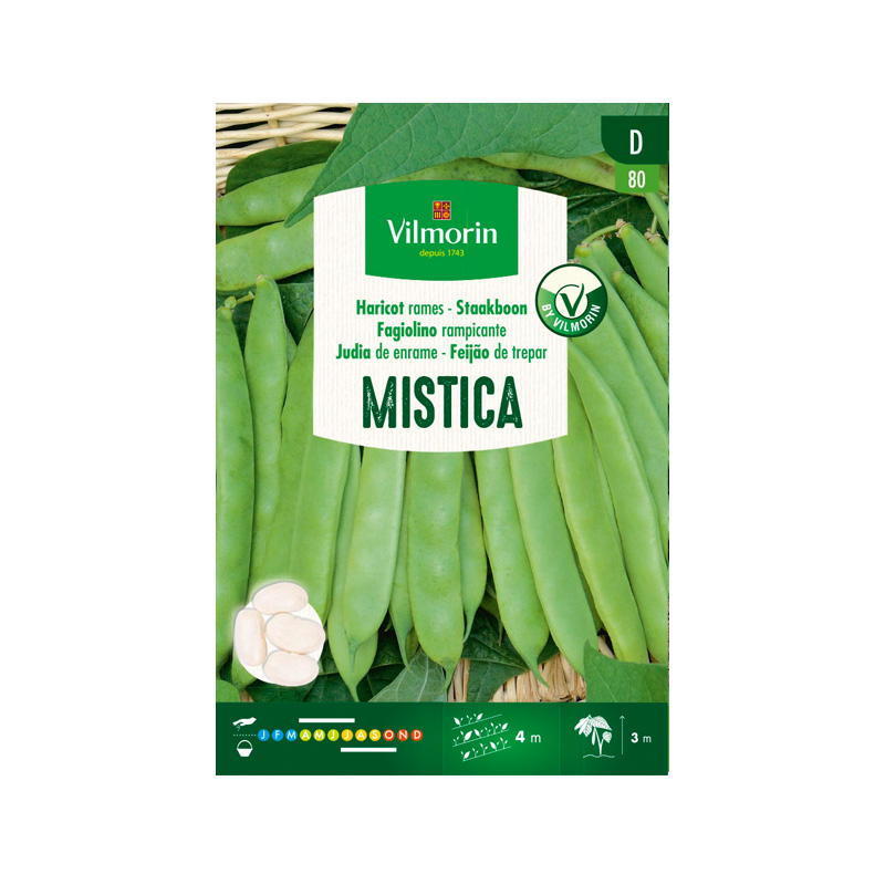 Judía de Enrame Mistica