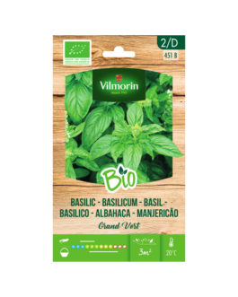 SEMILLAS BIO ALBAHACA Grand Vert Vilmorin – Sobre 1 g