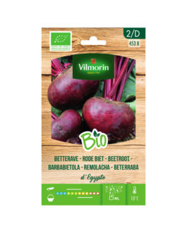 SEMILLAS BIO REMOLACHA de Egipto Vilmorin – Sobre 6 g