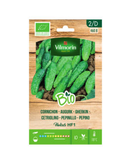 SEMILLAS BIO PEPINILLO Hokus HF1 Vilmorin – Sobre 2 g
