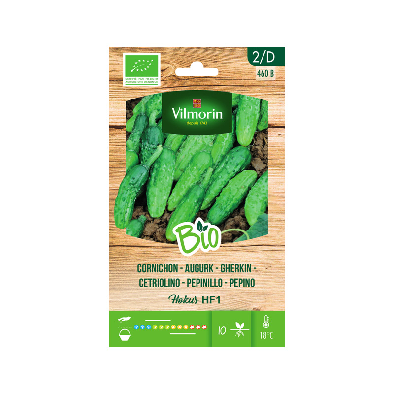 SEMILLAS BIO PEPINILLO Hokus HF1 Vilmorin - Sobre 2 g