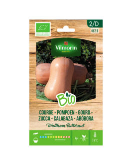 SEMILLAS BIO CALABAZA Butternut Vilmorin – Sobre 2 g
