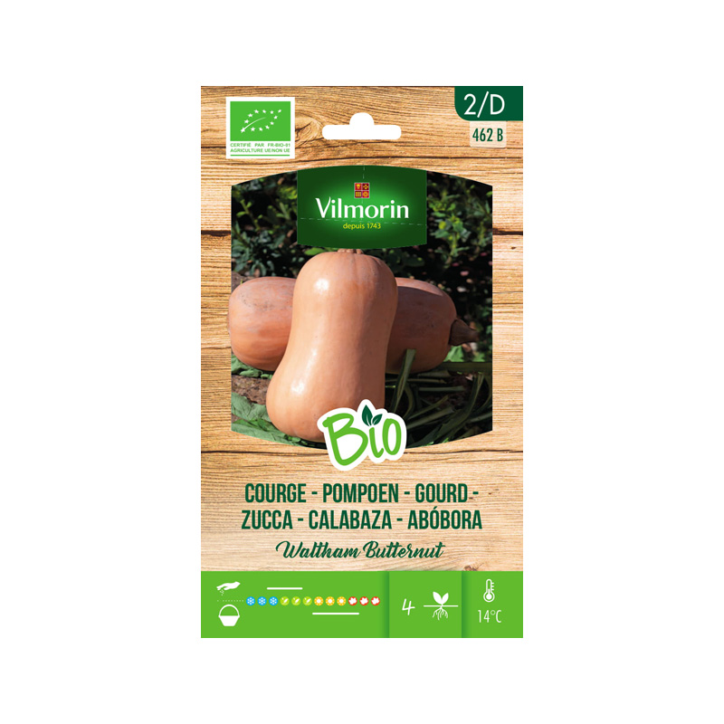 SEMILLAS BIO CALABAZA Butternut Vilmorin - Sobre 2 g