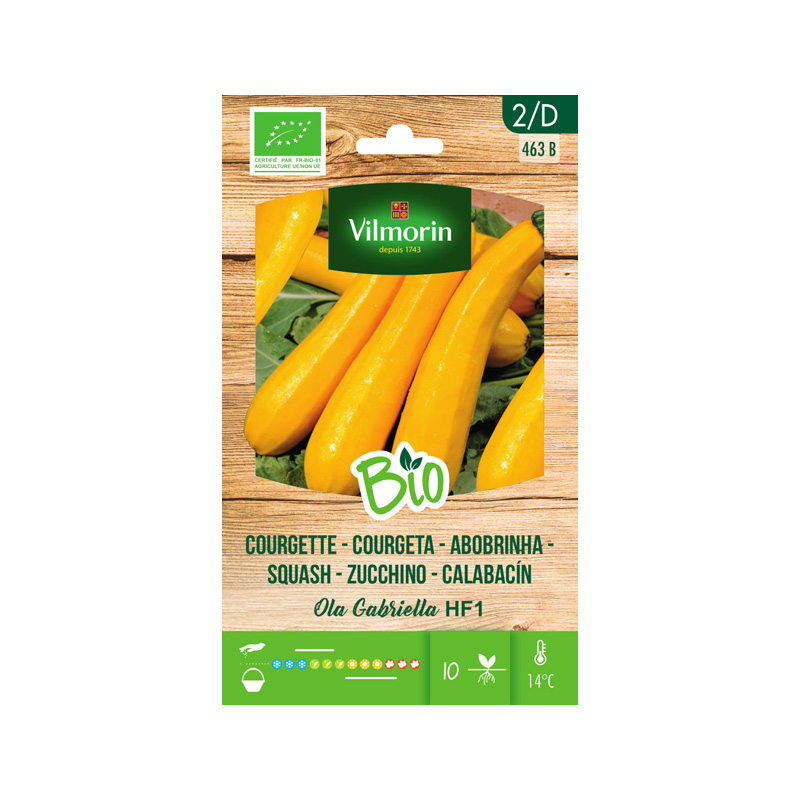 SEMILLAS BIO CALABACÍN Ola Gabriella HF1 Vilmorin - Sobre 2 g