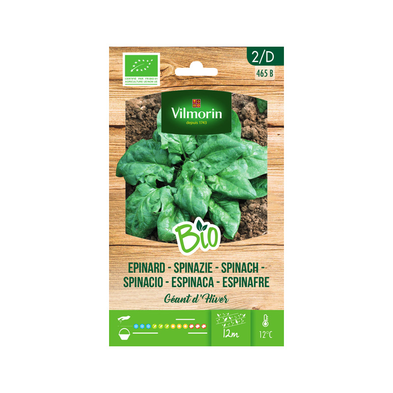 SEMILLAS BIO ESPINACA Gigante Invierno Vilmorin - Sobre 10 g