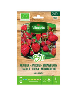 SEMILLAS BIO FRESAS Del Bosque Vilmorin – Sobre 0,2 g