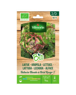 SEMILLAS BIO LECHUGA Batavia Rubia Vilmorin – Sobre 1 g