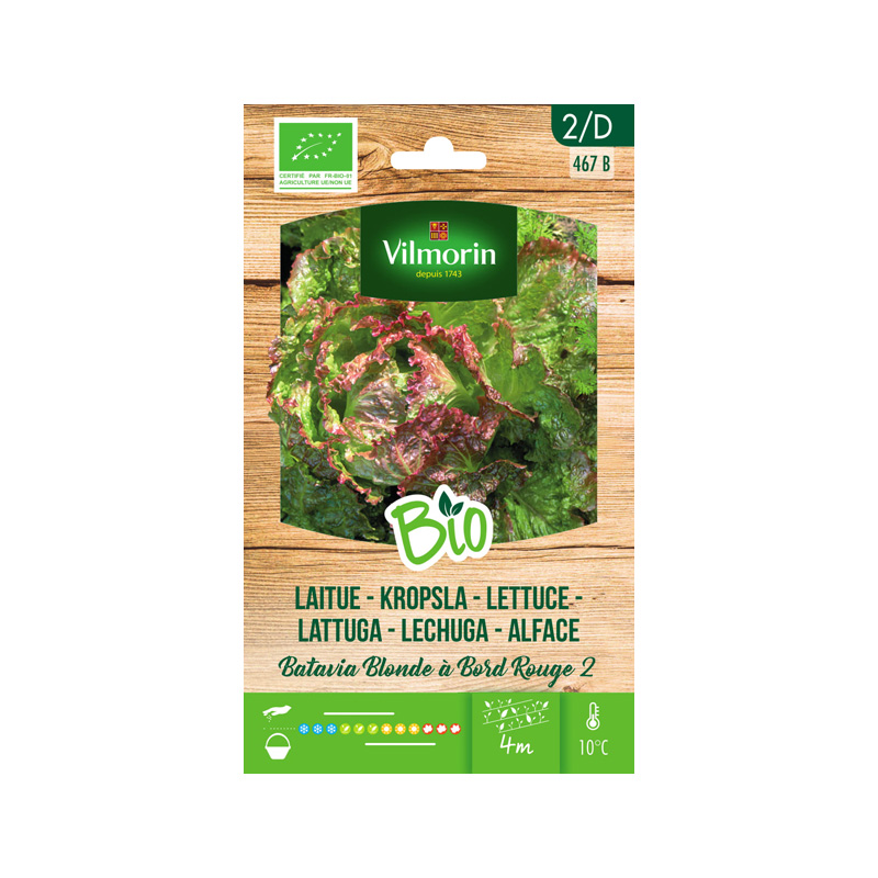 SEMILLAS BIO LECHUGA Batavia Rubia Vilmorin - Sobre 1 g