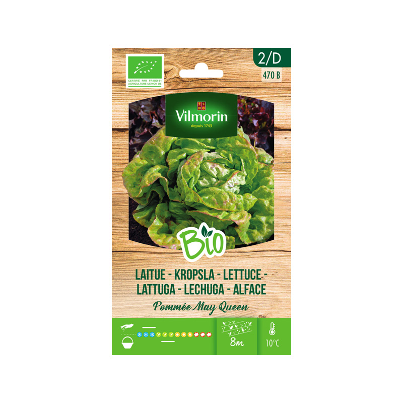 SEMILLAS BIO LECHUGA May Queen Vilmorin - Sobre 2 g