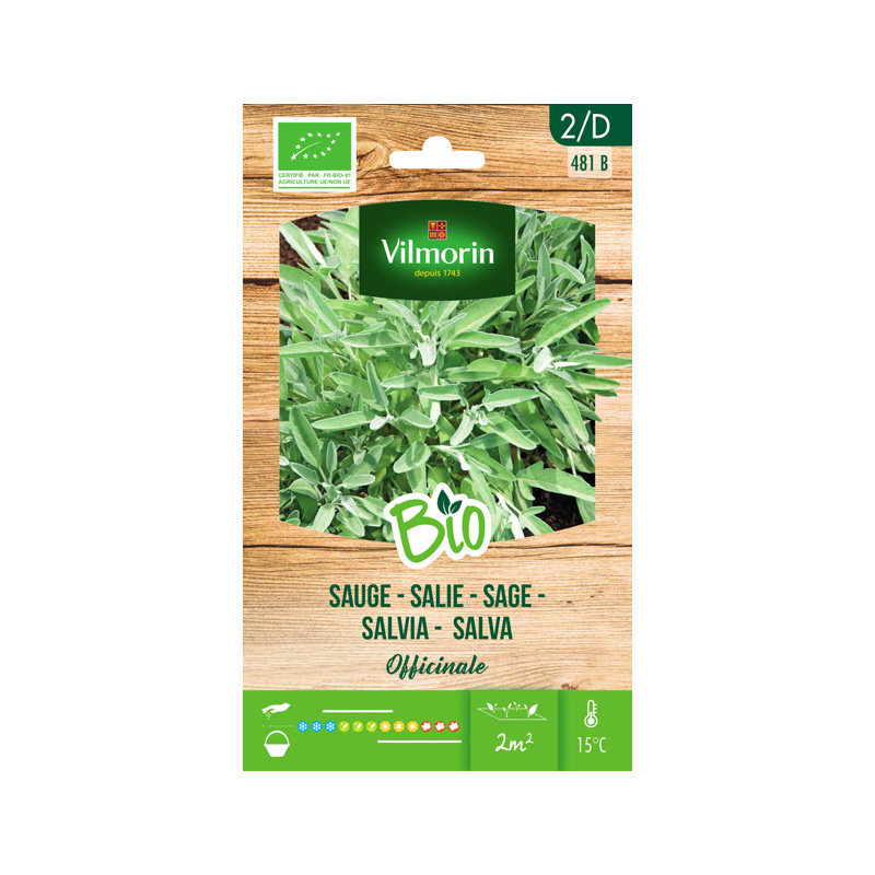 SEMILLAS BIO SALVIA Vilmorin - Sobre 1 g