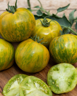 SEMILLAS BIO TOMATE Green Zebra Vilmorin – Sobre 0,15 g