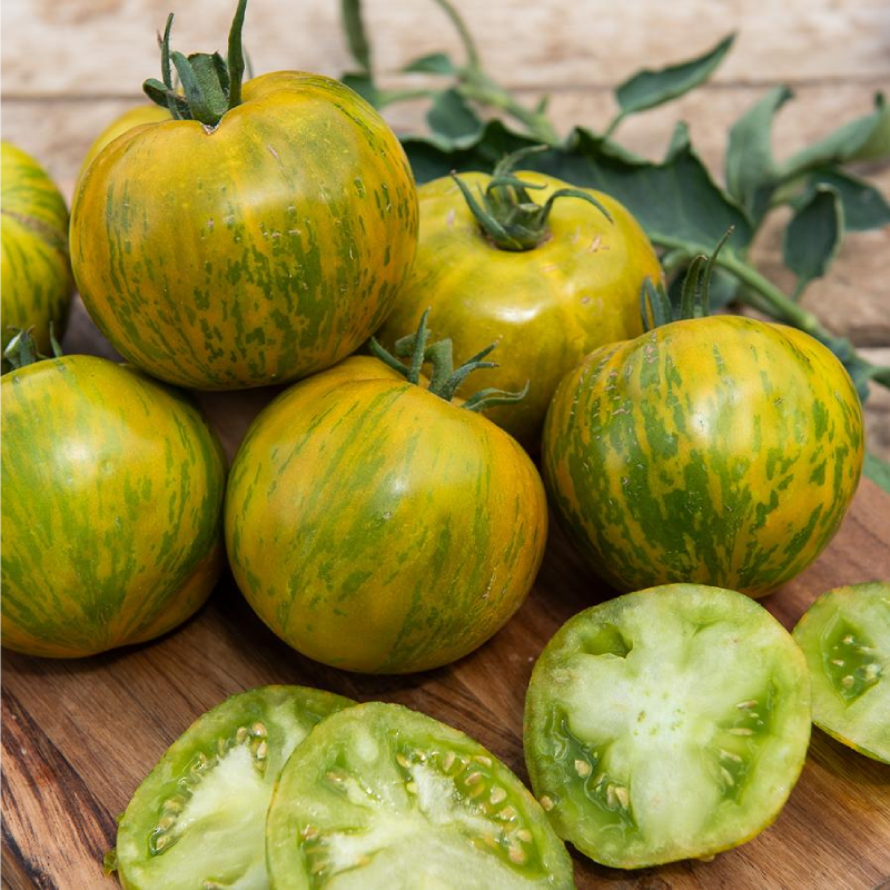SEMILLAS BIO TOMATE Green Zebra Vilmorin - Sobre 0,15 g - Imagen 2