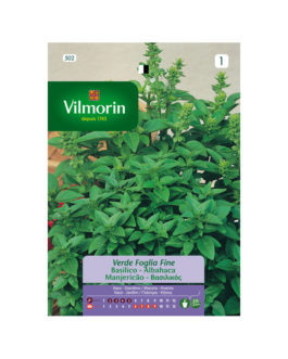 SEMILLAS ALBAHACA Fina Verde Vilmorin – Sobre 4 g