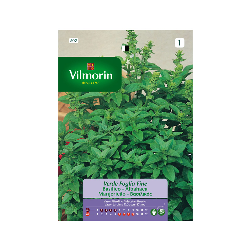 SEMILLAS ALBAHACA Fina Verde Vilmorin - Sobre 4 g