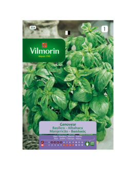 SEMILLAS ALBAHACA Grande Verde Vilmorin – Sobre 4 g