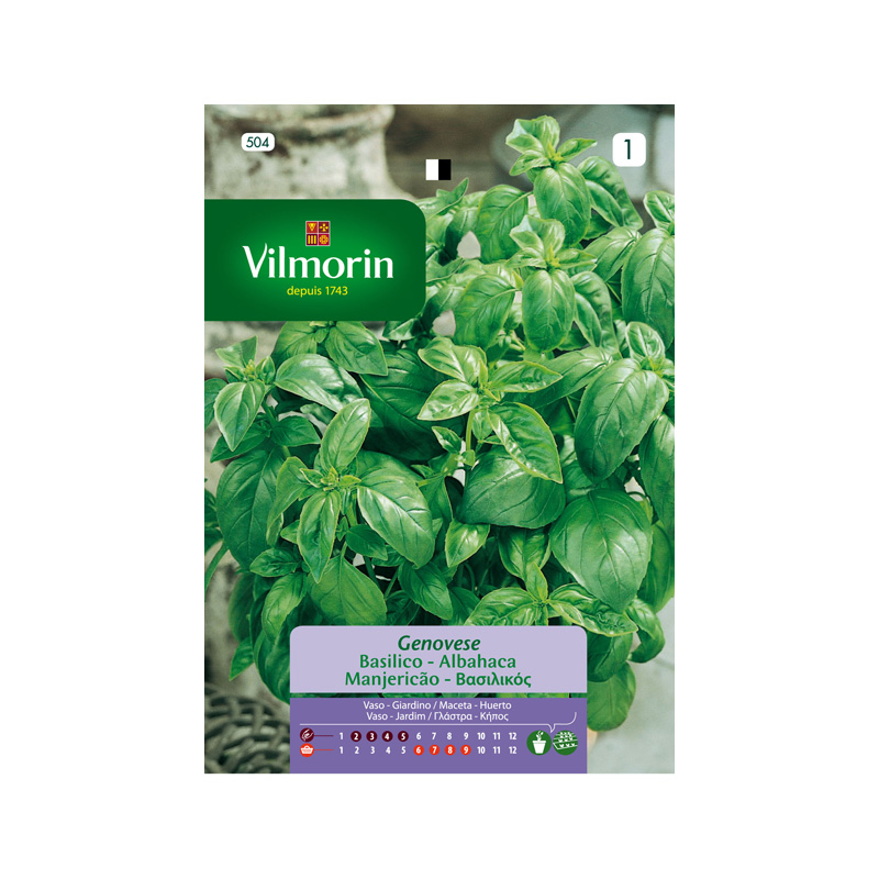SEMILLAS ALBAHACA Grande Verde Vilmorin - Sobre 4 g