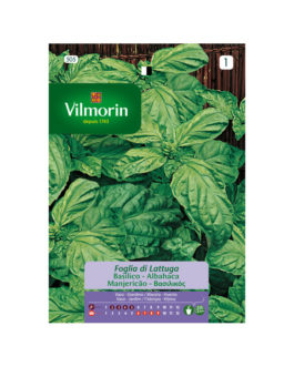 SEMILLAS ALBAHACA Hoja Lechuga Vilmorin – Sobre 3 g