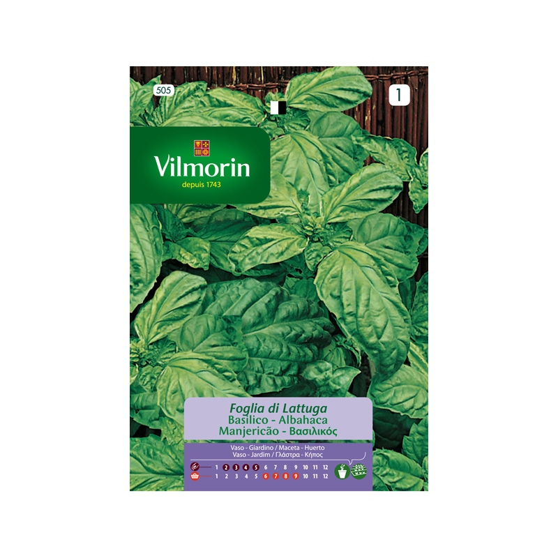 SEMILLAS ALBAHACA Hoja Lechuga Vilmorin - Sobre 3 g