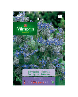 SEMILLAS BORRAJA Officinalis Vilmorin – Sobre 1 g