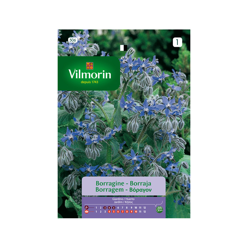 SEMILLAS BORRAJA Officinalis Vilmorin - Sobre 1 g