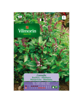 SEMILLAS ALBAHACA Canela Vilmorin – Sobre 1 g