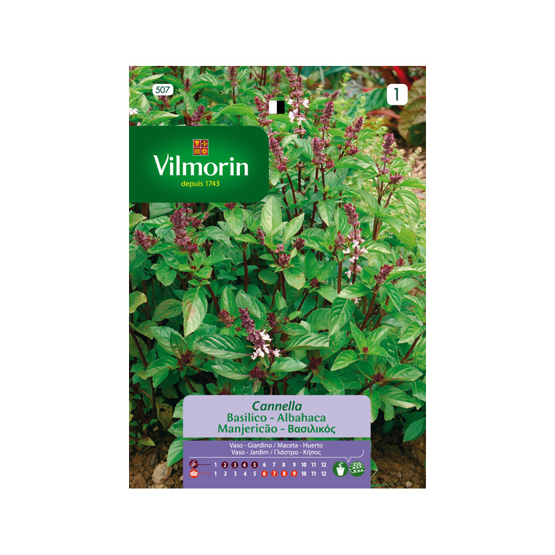 SEMILLAS ALBAHACA Canela Vilmorin - Sobre 1 g