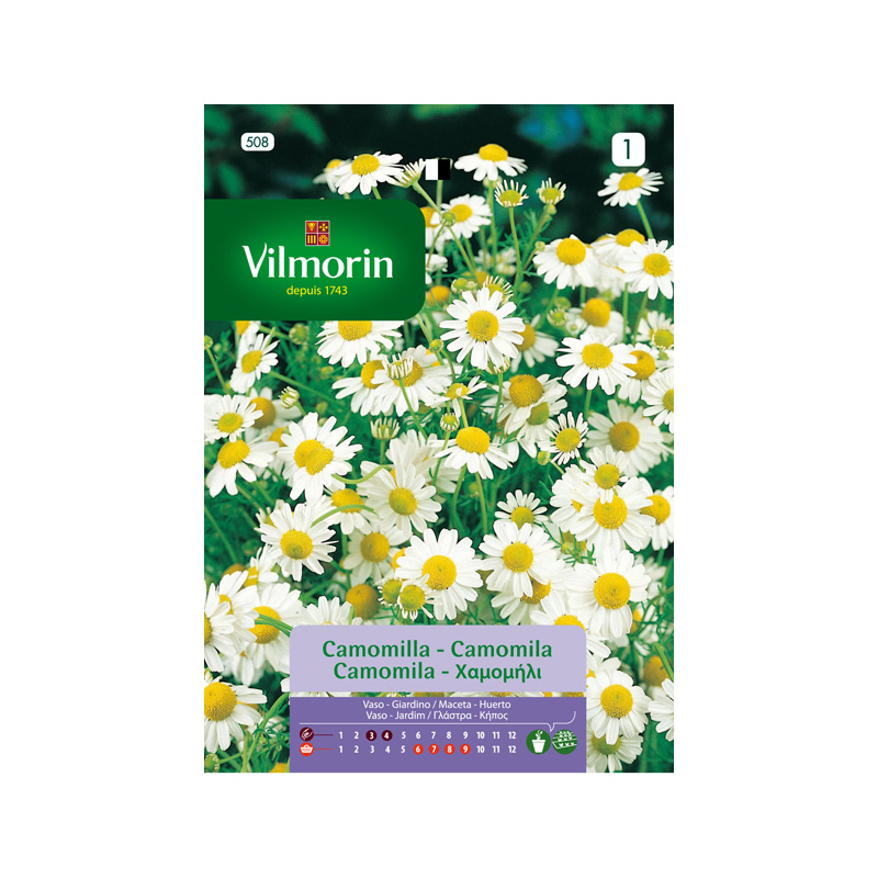 SEMILLAS MANZANILLA CAMOMILA Vilmorin - Sobre 0,6 g