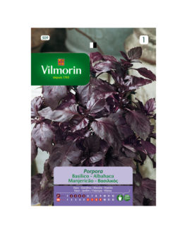 SEMILLAS ALBAHACA Púrpura Vilmorin – Sobre 1 g