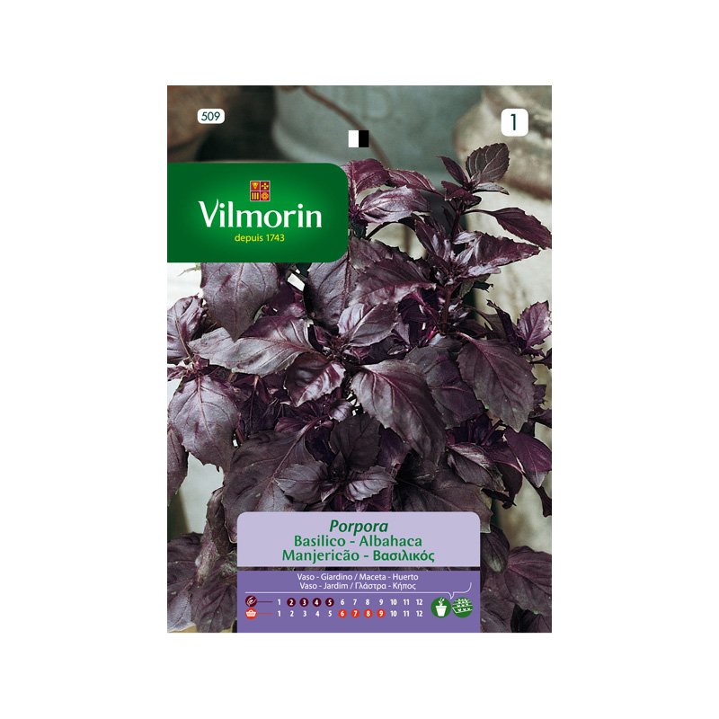 SEMILLAS ALBAHACA Púrpura Vilmorin - Sobre 1 g