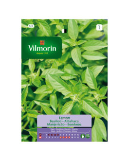 SEMILLAS ALBAHACA Lemon Vilmorin – Sobre 1 g