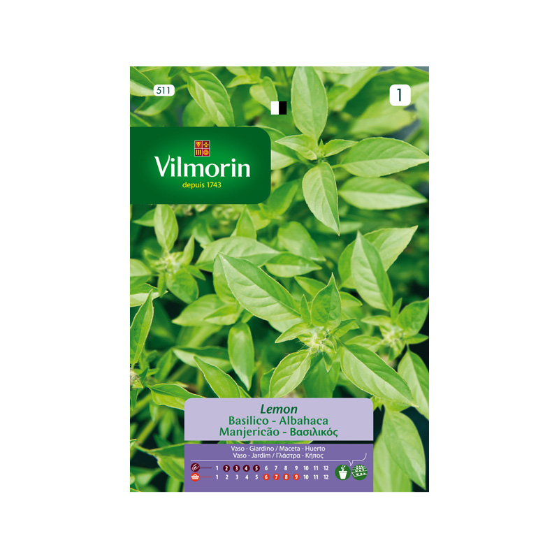 SEMILLAS ALBAHACA Lemon Vilmorin - Sobre 1 g