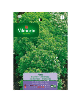 SEMILLAS ALBAHACA Pesto Vilmorin – Sobre 0,4 g