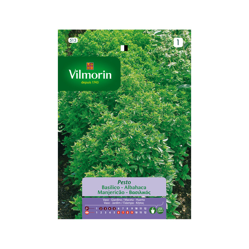 SEMILLAS ALBAHACA Pesto Vilmorin - Sobre 0,4 g