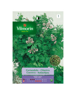 SEMILLAS CILANTRO Vilmorin – Sobre 5 g