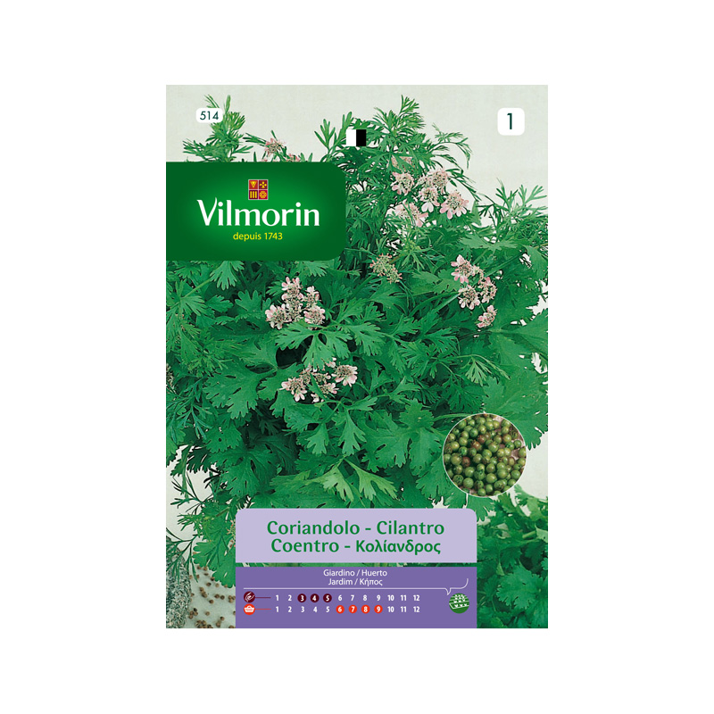 SEMILLAS CILANTRO Vilmorin - Sobre 5 g