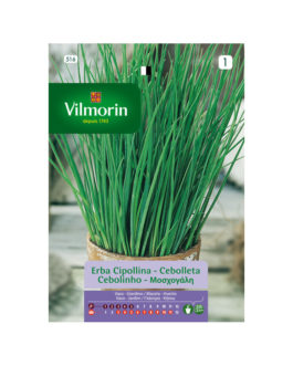 SEMILLAS CEBOLLETA Vilmorin – Sobre 1,5 g