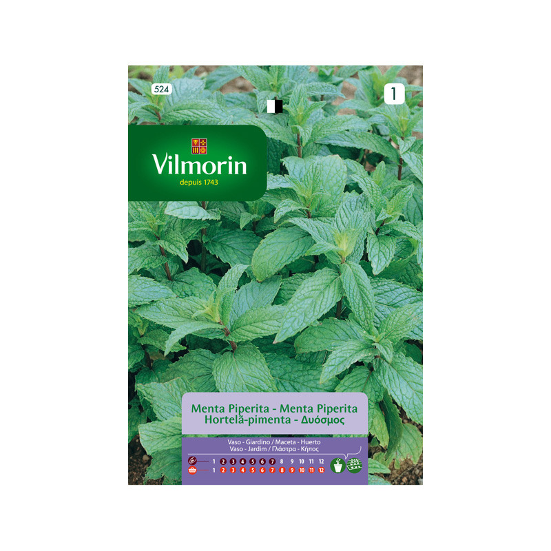 SEMILLAS MENTA Piperita Vilmorin - Sobre 0,3 g