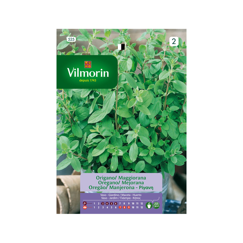 SEMILLAS OREGANO-MEJORANA Vivaz Vilmorin - Sobre 0,5 g