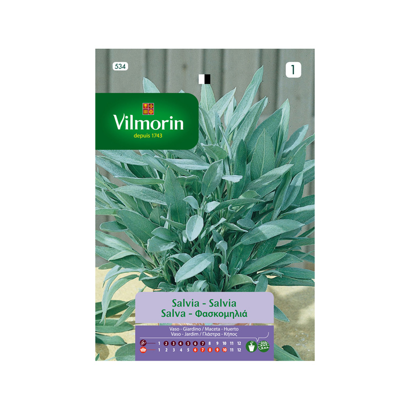 SEMILLAS SALVIA Officinalis Vilmorin - Sobre 1,5 g