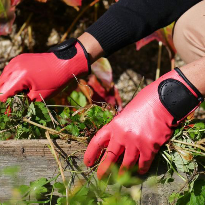 GUANTE JARDINERÍA MAXIMA Rostaing - Rosa - Imagen 3