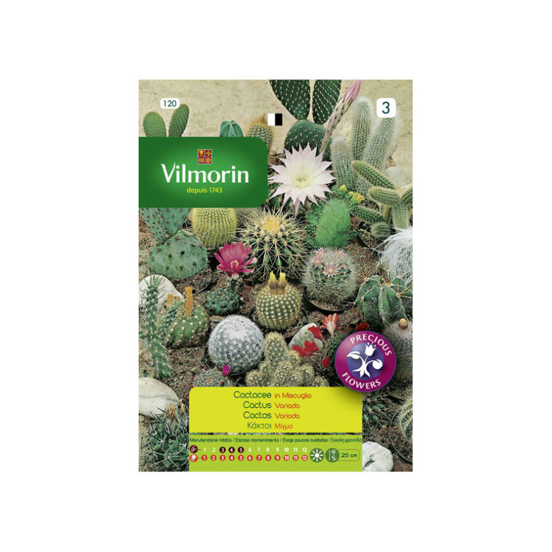 SEMILLAS CACTUS Variados Vilmorin - Sobre 0,4 g