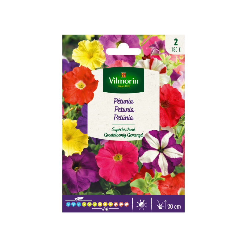 SEMILLAS PETUNIA Superbe Variada Vilmorin - Sobre 0,4 g