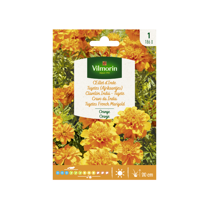 SEMILLAS CLAVELÓN INDIA Naranja Vilmorin - Sobre 1 g